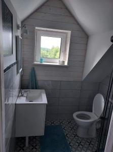 ein Bad mit einem WC, einem Waschbecken und einem Fenster in der Unterkunft DOM PIOTRUSIÓWKA NAD ZALEWEM KLIMKÓWKA in Klimkówka