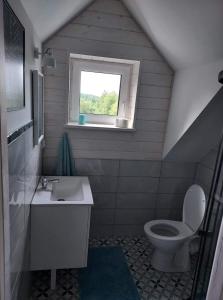 un bagno con un water, un lavandino e una finestra di DOM PIOTRUSIÓWKA NAD ZALEWEM KLIMKÓWKA a Klimkówka