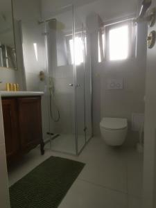 a bathroom with a shower and a toilet and a sink at Gdynia Turkusowa Przystań in Gdynia
