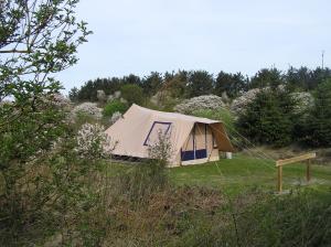 巴勒姆的住宿－Ameland tentenverhuur ATV，相簿中的一張相片