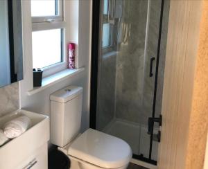 uma pequena casa de banho com WC e chuveiro em MAESLLAN CABINS - 'Golwg Y Mor' em Cross Inn