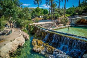 a waterfall in a park with palm trees and a bridge at Menachem's Apartment in Bet Sheʼan