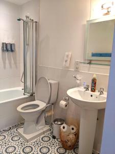 a bathroom with a toilet and a sink at Kingfisher Barn B&B in Abingdon