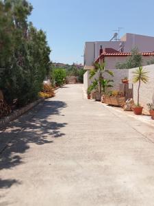 an empty street with trees and a building at Dependance Sabrina in Città Giardino