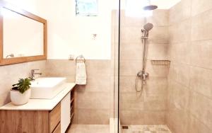a bathroom with a shower and a sink at The Beach Life Pereybere in Pereybere