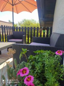 Zahrada ubytování Studio apartman Gradna