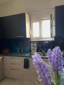 Kuchyň nebo kuchyňský kout v ubytování Kalaitzoglou Apartments