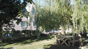 una mesa de picnic y un banco bajo un árbol en Vie et Passion, en Elsenheim