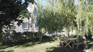 stół piknikowy i ławka pod drzewem w obiekcie Vie et Passion w mieście Elsenheim