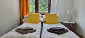 Fotografie z fotogalerie ubytování ŁOMIANKOWA DOLINA Wetlina 112 v destinaci Wetlina