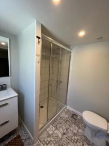 a bathroom with a shower and a toilet at La Maison Bleue, proche de tout in Le Tréport +26 photos