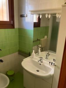 a green bathroom with a sink and a mirror at Villaggio dei Fiori Apart- Hotel 4 Stars - Family Resort-Petz Friendly-With Hypermarket-Delivery Restaurant-Pizzeria-With Breakfast Room with Supplement in Caorle