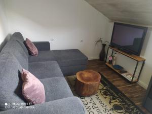a living room with a gray couch and a tv at Studio apartman Gradna in Samobor