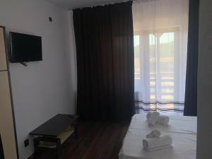 um quarto com uma cama, uma televisão e uma janela em Pensiunea Alin em Siseştii de Sus