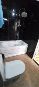 Ванна кімната в Apartment Zurabi