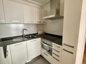 uma pequena cozinha com armários brancos e um lavatório em Estudio céntrico 1 con terraza y parking privado em Ourense
