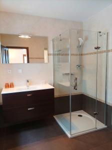 La salle de bains est pourvue d'une douche en verre et d'un lavabo. dans l'établissement Apartmánový dům Michael, à Lipová-lázně