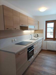 Gallery image of Apartmánový dům Michael in Lipova Lazne