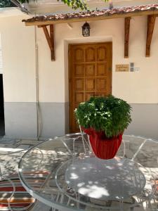 Fotografia z galérie ubytovania Catalina's house -Μικρή εξοχική κατοικία με αυλή & parking v destinácii Xylokastron