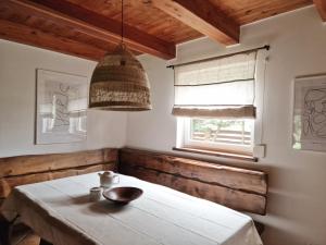 a dining room with a table and a lamp at Kamillo in Kołczewo