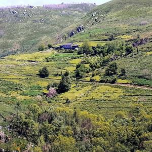 una vista de una colina con una casa en ella en Albergue ESCANLAR, en Lugo
