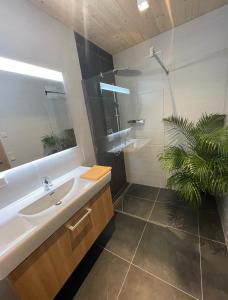 łazienka z umywalką, lustrem i rośliną w obiekcie Apartment Goaßa - Familie Zehner w mieście Göriach +37 zdjęć