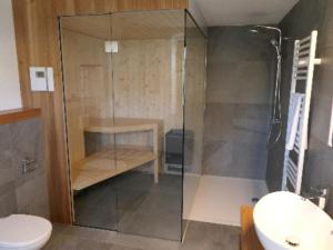 a bathroom with a shower with a toilet and a sink at Fewo Blick zum Stern in Wermsdorf