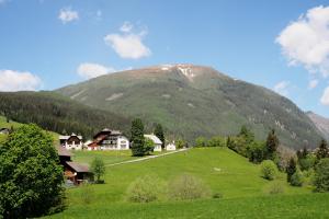 góra z domem i zielonym polem w obiekcie Apartment Goaßa - Familie Zehner w mieście Göriach