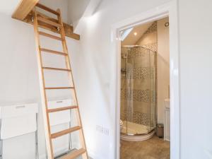 a ladder leading to a bathroom with a shower at Cuckoo Nest in Chesterfield +9 photos