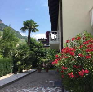 a building with flowers and a balcony with a palm tree at Apartment Villa Huber in Bolzano