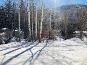Simba Run Vail Condominiums during the winter