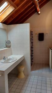 een badkamer met een wastafel, een toilet en een douche bij Grange de Ninie in Rochefort