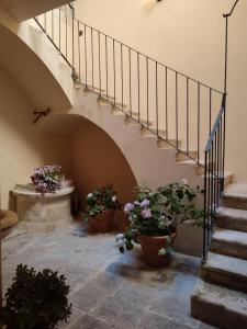 a stairway with potted plants and a staircase with stairs at Il Vico Del Drago in LʼAquila