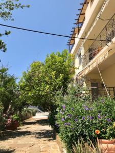 a garden of flowers in front of a building at Afrodite Hotel Apartments in Myrina