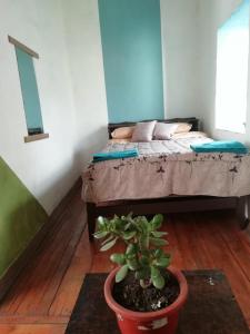 Gallery image of Mochilero Colonial in Cuenca