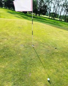 Golf pri apartmáne alebo okolí