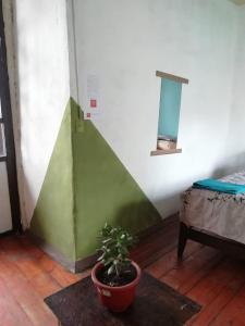 Gallery image of Mochilero Colonial in Cuenca +16 photos