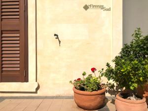 due piante in vaso sedute di fronte a un muro di La Firenze del Sud a Lecce