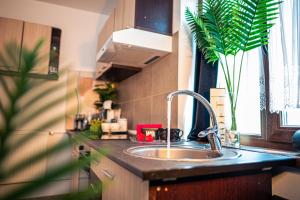 Η κουζίνα ή μικρή κουζίνα στο Apartament Craiova Modern Space Semineu Pat Rotund +16 φωτογραφίες