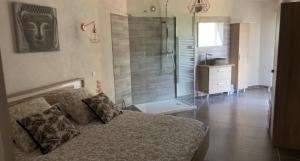 een slaapkamer met een bed en een douche in de badkamer bij Charmant logement avec piscine in Le Cannet-des-Maures