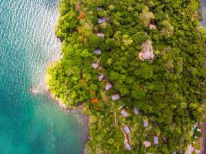 an aerial view of a forested island next to a body of water at Isla Chiquita Glamping Hotel in Puntarenas