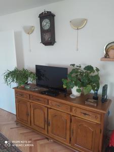 TV o dispositivi per l'intrattenimento presso Apartman Mickey