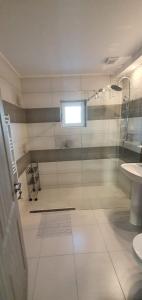 a bathroom with a shower and a sink at Casa Valentin in Corbu