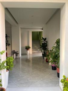 ドゥラスにあるFestim hotelのギャラリーの写真