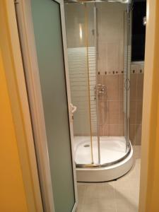 a bathroom with a shower and a toilet at VIP apart SVETLANA in Ravda