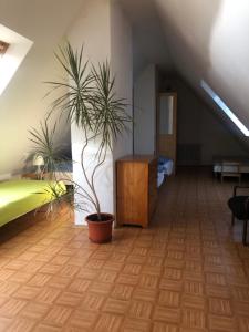 a room with a bed and two potted plants at Apartment Lužné in Luhačovice