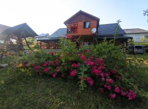 Zahrada ubytování Zatishok Bilya Richky