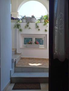 a stairway with a window with potted plants on it at studio SUCCÈS in Pylos