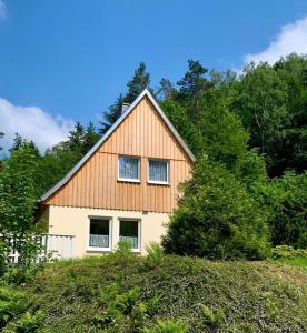 a house on top of a hill with trees at Kuckuckswinkel Ferienwohnung Zarah in Schöna