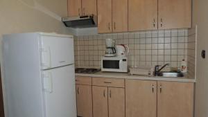 Kuchyň nebo kuchyňský kout v ubytování APARTMENT NELLY OPATIJA